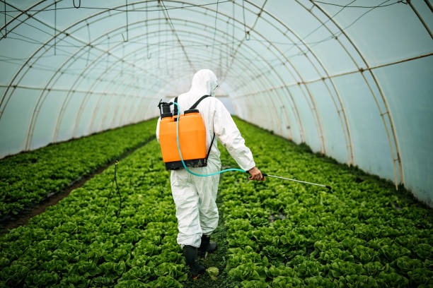 Best Affordable Pest Control Services  in Presque Isle, ME