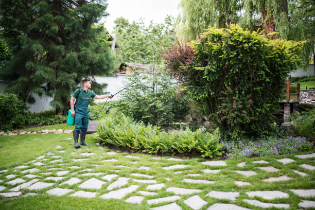 Best Best Pest Control Companies  in Presque Isle, ME