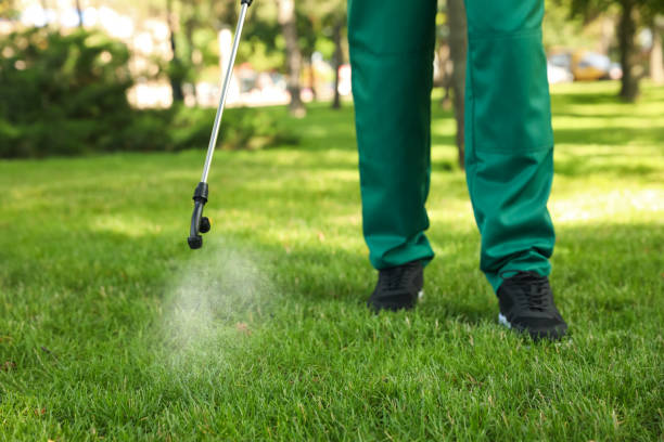Best Residential Pest Control  in Presque Isle, ME