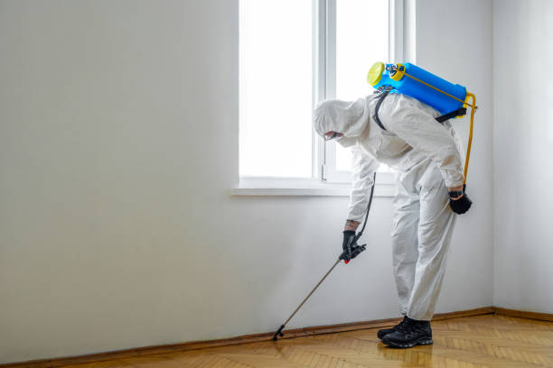 Reliable Presque Isle, ME Pest Control Solutions