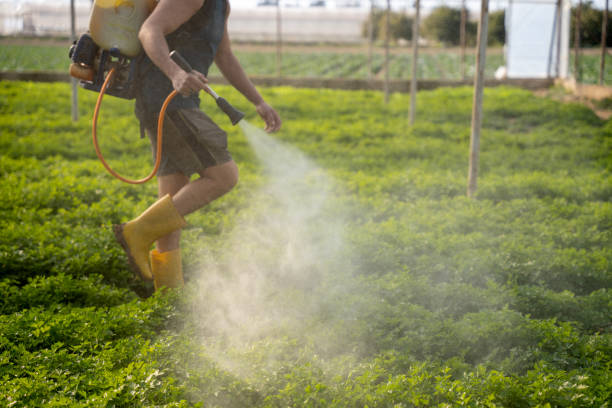 Best Local Pest Control Services  in Presque Isle, ME