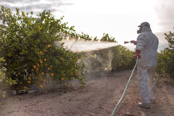 Best Commercial Pest Control Services  in Presque Isle, ME