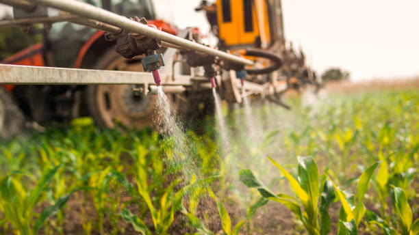 Best Ant Control Services  in Presque Isle, ME